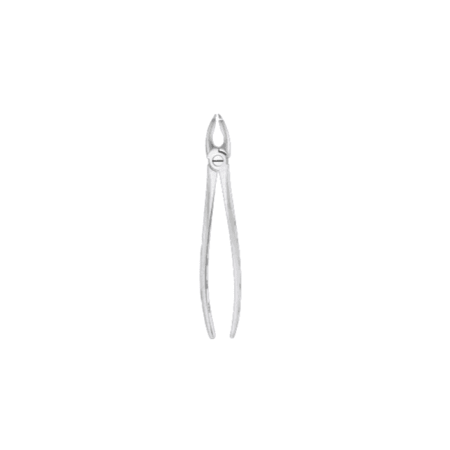 Extracting Forcep Fig 34 Upper Incisors And Premolars Gripping In Depth