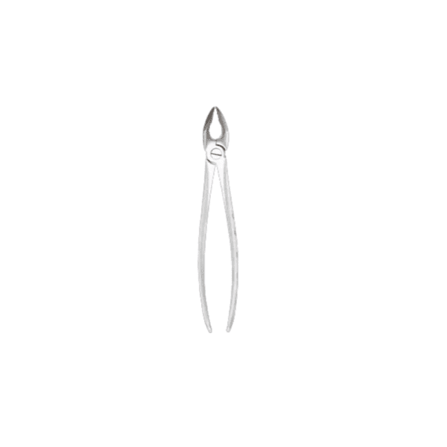 Extracting Forcep Fig 35 Upper Premolars Gripping In Depth