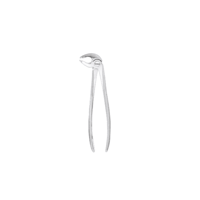 Extracting Forcep Fig 36 Lower Premolars Gripping In Depth