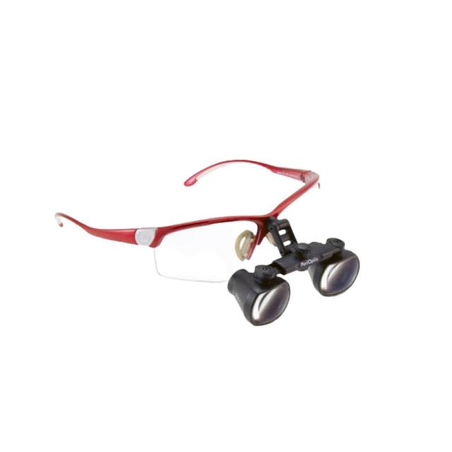 Panoramic 2.5 X Perivista