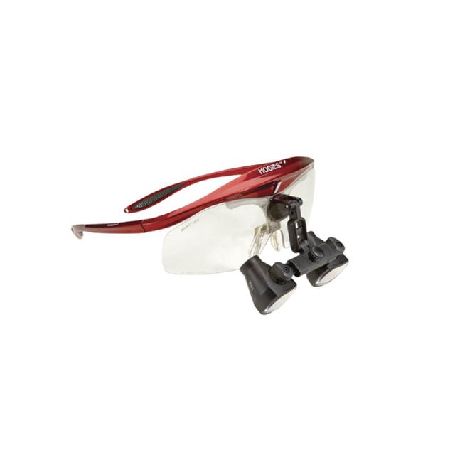 Panoramic 2.5 X Hogies