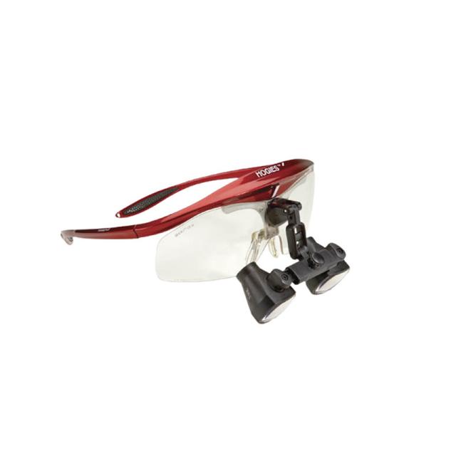 Panoramic 3.0 X Hogies