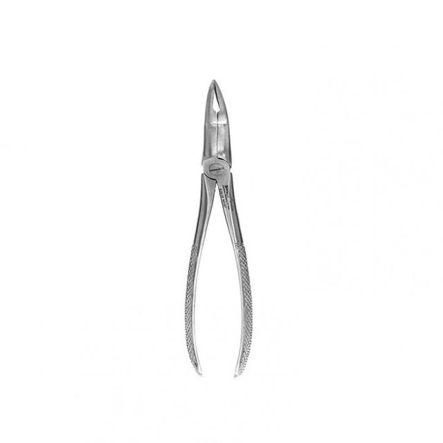 Extracting Forceps English No.97