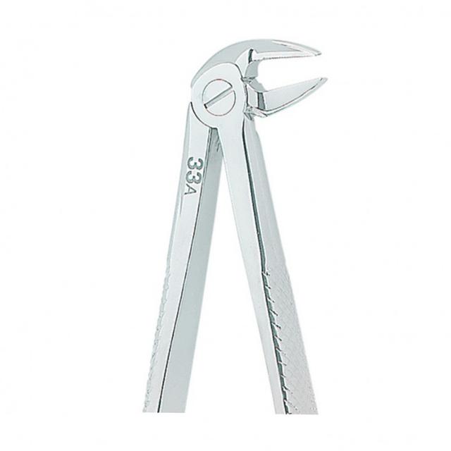 Extracting Forceps English No.33A
