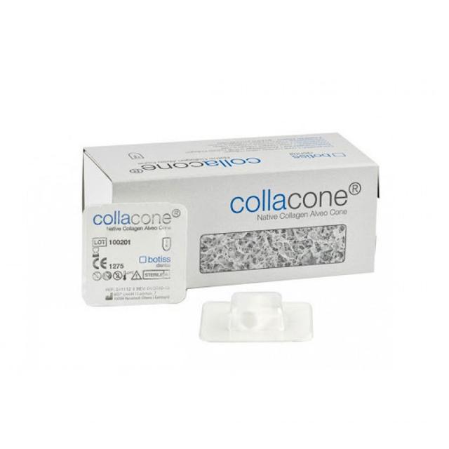 Collacone Native Collagen Alveo Cone