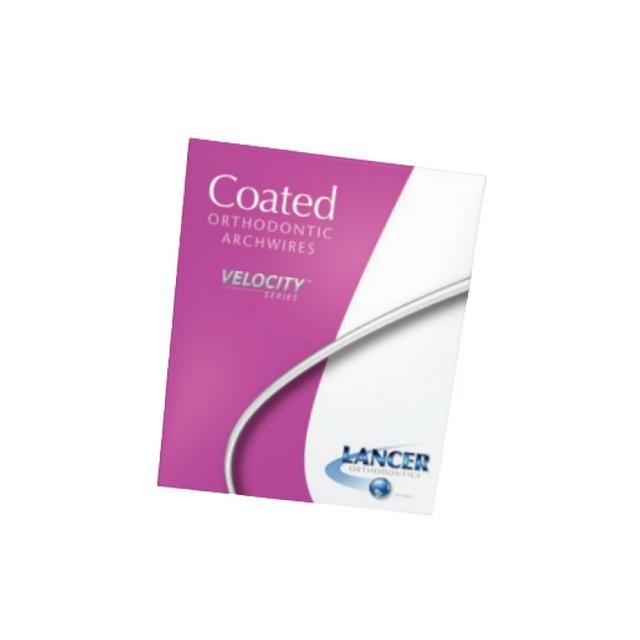 Arch Coated Stainless Steel Trueform Upper 18x25