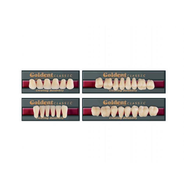 Goldent Classic Acrylic Teeth A1 Size 1