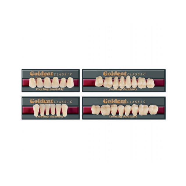 Goldent Classic Acrylic Teeth A1 Size 2