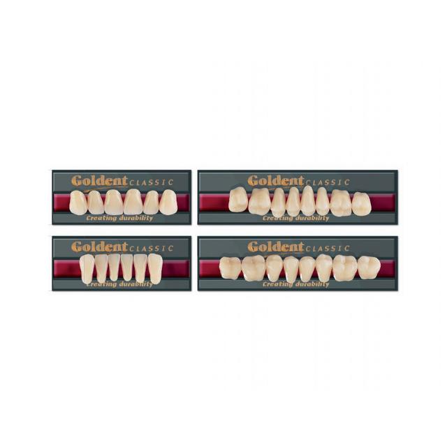 Goldent Classic Acrylic Teeth A1 Size 4