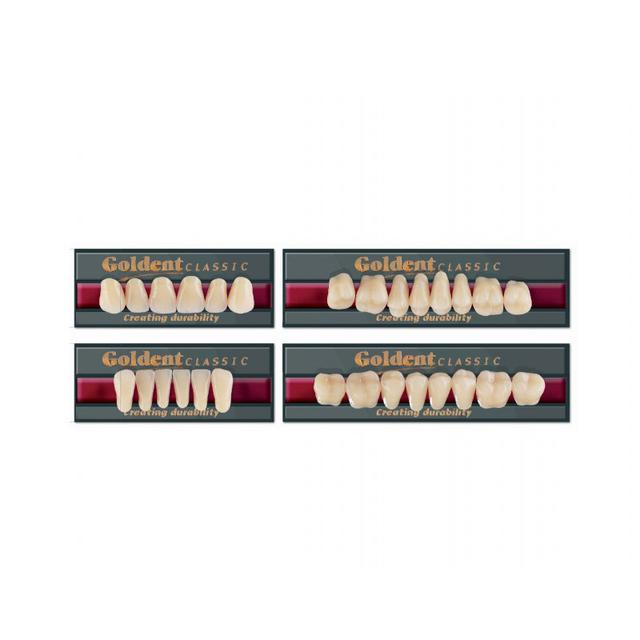 Goldent Classic Acrylic Teeth A1 Size 6