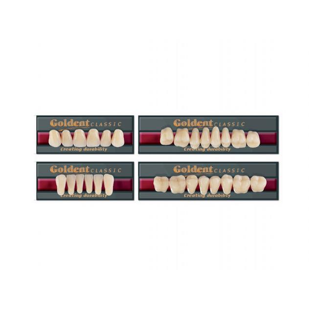 Goldent Classic Acrylic Teeth A2 Size 3