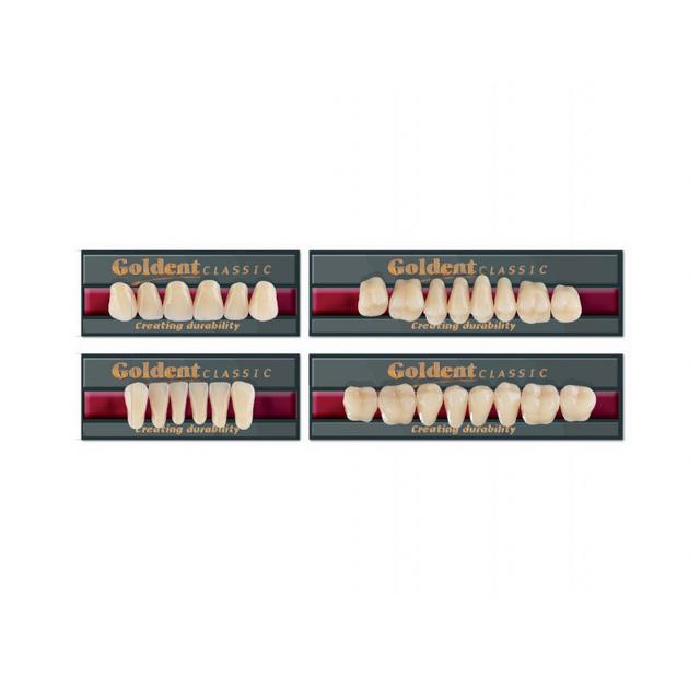 Goldent Classic Acrylic Teeth A3.5 Size 6