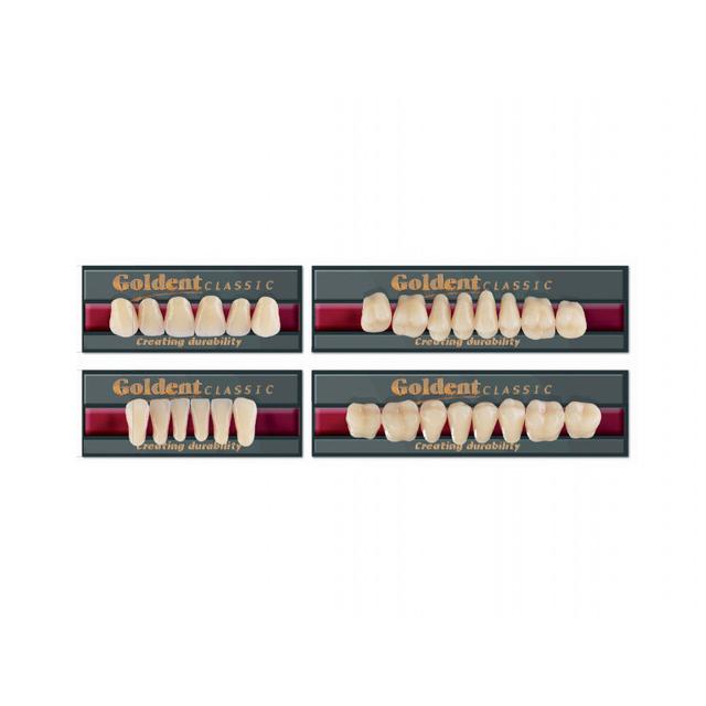 Goldent Classic Acrylic Teeth A4 Size 6