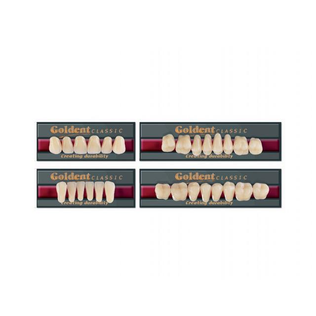 Goldent Classic Acrylic Teeth B2 Size 6