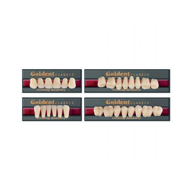 Goldent Classic Acrylic Teeth BL2 Size 6