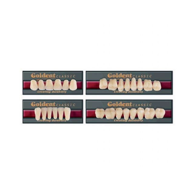 Goldent Classic Acrylic Teeth C2 Size 2