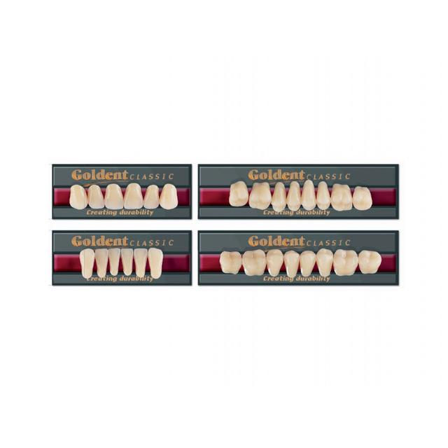 Goldent Classic Acrylic Teeth C3 Size 2