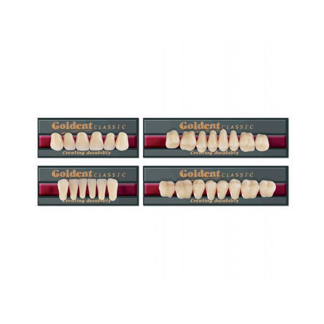 Goldent Classic Acrylic Teeth D2 Size 2