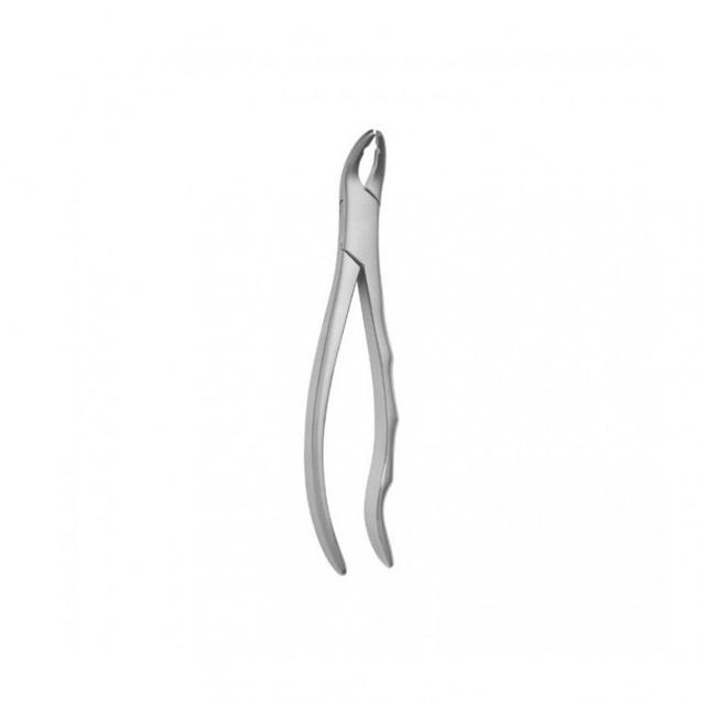Tooth Forceps Pediatric Squared Beaks N.151 - BC
