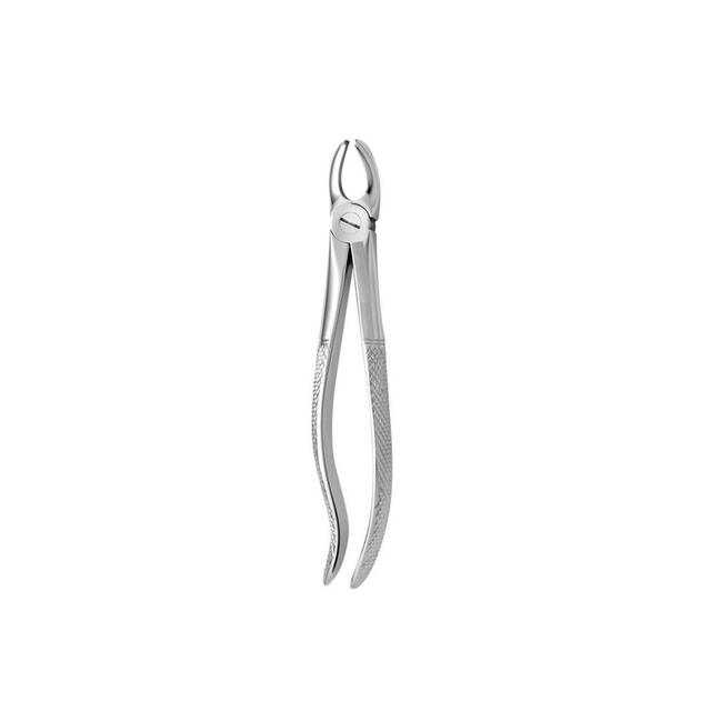 English Pattern Tooth Forceps N95