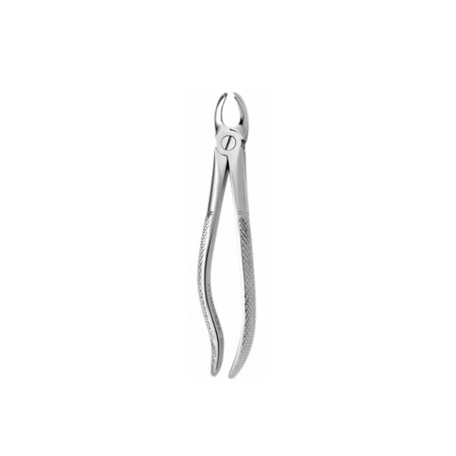 English Pattern Tooth Forceps N97