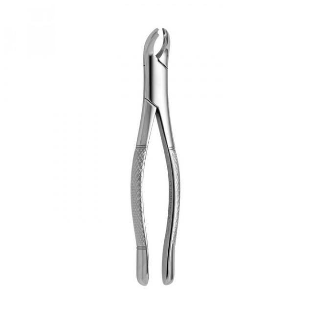 American Pattern Tooth Forceps N17