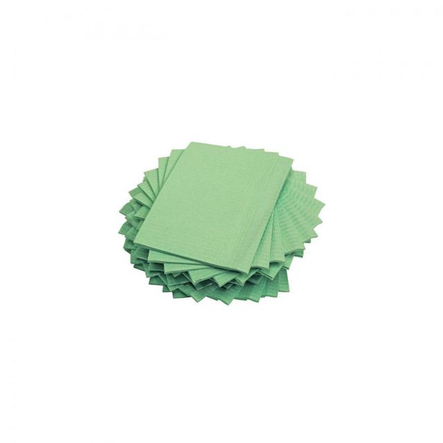 Dental Bib Green